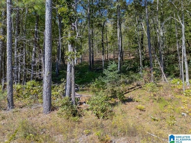 15874 County Highway 26, Blountsville, AL 35031 - photo 6