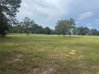 17349 Forge Dr, Spring Hill, FL 34610 - photo 3