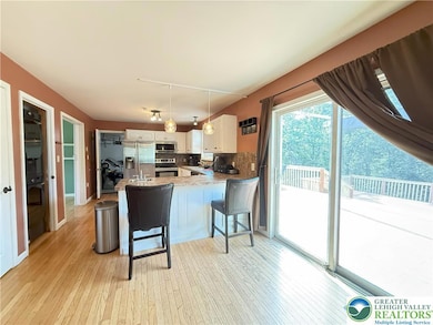 348 Clicko Ln, East Stroudsburg, PA 18301 - photo 6