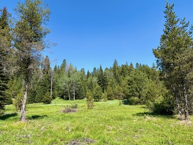 TBD Sawtooth Loop, Cascade, ID 83611 - photo 4