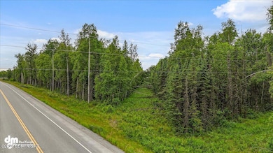 5200 W Parks Hwy, Wasilla, AK 99654 - photo 5