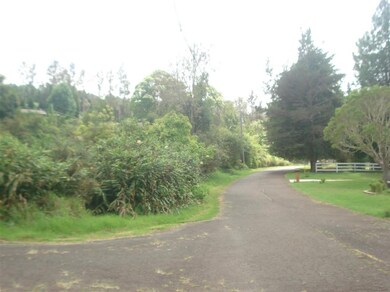 000 Ehu Iki Place, Makawao, HI 96768 - photo 3