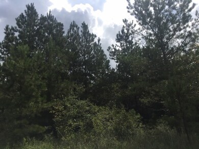 00 N Patten Rd, Tylertown, MS 39667 - photo 5