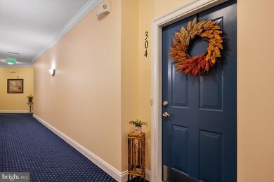 8608 Fluttering Leaf Trail, Odenton, MD 21113 - photo 4