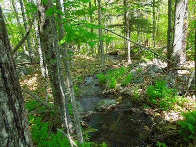 00 Whittier Hwy unit Lot 15.1, Moultonborough, NH 03254 - photo 4