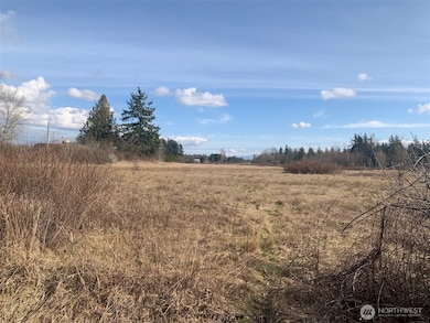 9924 Markworth Rd, Lynden, WA 98264 - photo 3