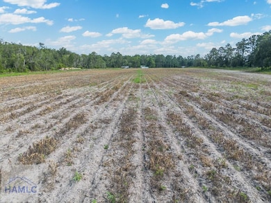 7471 Old River Rd, Patterson, GA 31557 - photo 6