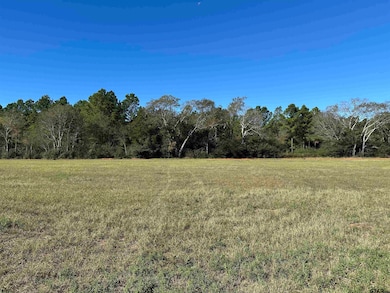 13B  / TBD Old Spanish Trial Dr, Alto, TX 75925 - photo 5