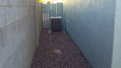 Dog Run