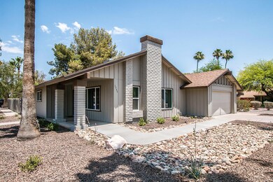 Pecan Cir-4