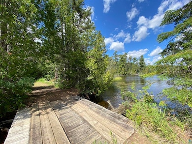 XXD Pine Peak Rd, Lutsen, MN 55612 - photo 6