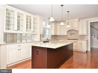 409 Mattrissa Ridge, Media, PA 19063 - photo 6