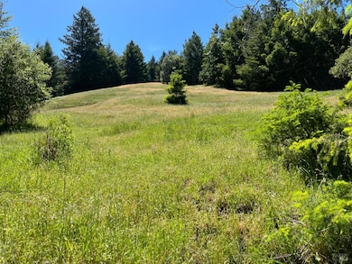 38555 Hauser Bridge Rd, Cazadero, CA 95421 - photo 5