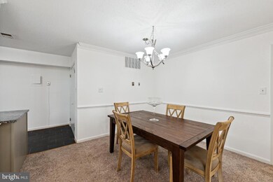 3109 Patrick Henry Dr unit 623, Falls Church, VA 22044 - photo 6