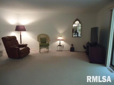 3620 38th St unit 5, Rock Island, IL 61201 - photo 4
