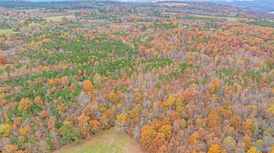 18 acres County Road 359, Pisgah, AL 35765 - photo 3