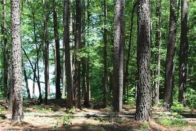 130 Bridgeland Trail unit Lot 4, Statesville, NC 28677 - photo 5