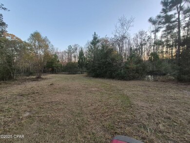 000 Windy Lewis Rd, Bonifay, FL 32425 - photo 7