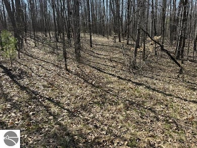 0 Ticino Dr unit 353 1932968, Reed City, MI 49677 - photo 6