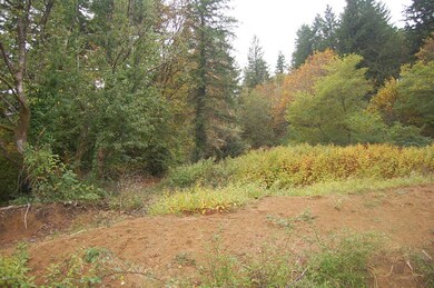 Land above house