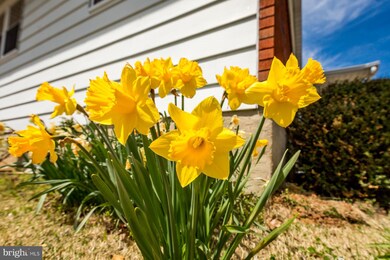 5947 Baltimore St, Gwynn Oak, MD 21207 - photo 6