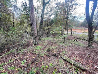 000 Prim Rd, Prim, AR 72130 - photo 7