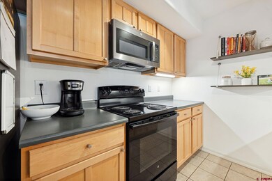 765 E College Dr unit 5, Durango, CO 81301 - photo 7