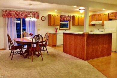 135 S Elm St, Jefferson, OH 44047 - photo 6