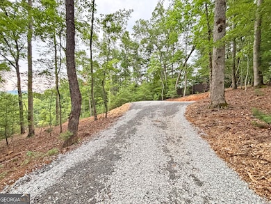 2A Oak Crest Dr, Morganton, GA 30560 - photo 4