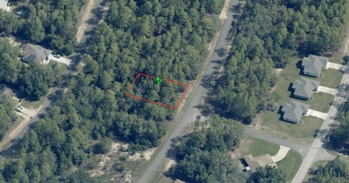 8100 N Triana Dr, Citrus Springs, FL 34434 - photo 2