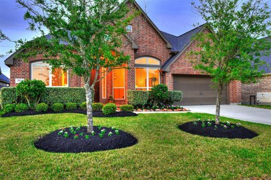 Generously sized trees in the front yard.