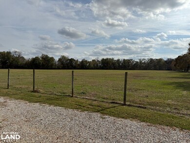 291 Smalling Rd, Rayville, LA 71269 - photo 5