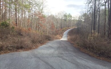 0 Ivy Cove Ln, Ellijay, GA 30536 - photo 4