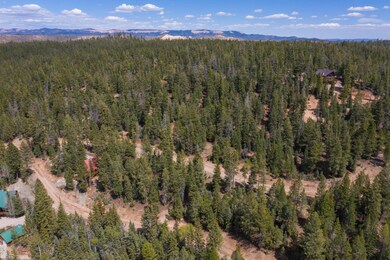 103-Swains Creek