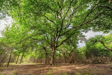 00 County Road 284, Liberty Hill, TX 78642 - photo 7