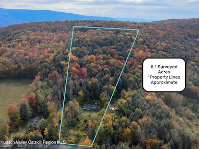 766 Hog Mountain Cir, Fleischmanns, NY 12430 - photo 2