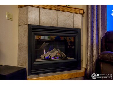 Main Level Fireplace