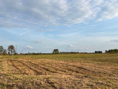 0 Pilcher Rd unit 11609601, Many, LA 71449 - photo 2