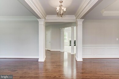 41638 Revival Dr, Ashburn, VA 20148 - photo 2