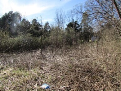 127 Mineral Springs Rd, West Fork, AR 72774 - photo 3