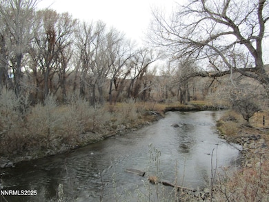 158 E Walker Rd, Yerington, NV 89447 - photo 3