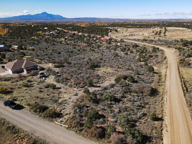 17467 Road 27 7, Dolores, CO 81323 - photo 5