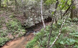 0 Apple Creek Rd unit 308004, Blue Ridge, GA 30513 - photo 4