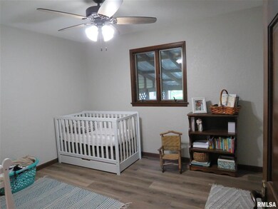 764 Johnson Rd, Iuka, IL 62849 - photo 7