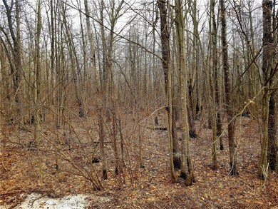 XXX 15th Ave, Rice Lake, WI 54868 - photo 5