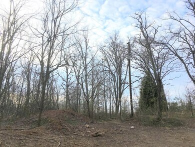 151 E Highland Rd, Johnson City, TN 37601 - photo 7