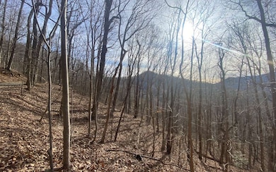 Additional View
