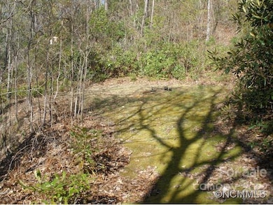 0 Anglers Ridge unit B1, B2,B3,B4, Waynesville, NC 28786 - photo 7