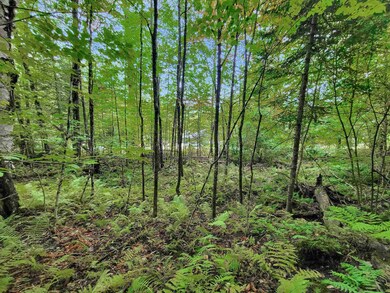 201-096 Lakeside Dr, Haverhill, NH 03784 - photo 5