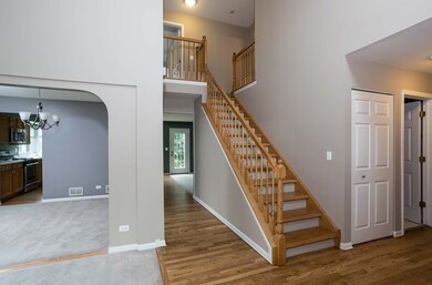 917 Cortney Dr, Carpentersville, IL 60110 - photo 3